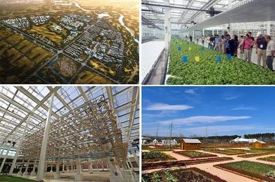 【游学课程】以农业为基础,如何搭建现代农业,休闲度假,田园社区的农业综合体开发模式?
