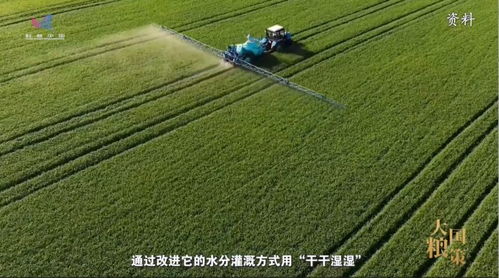 基因 再生 栽培 探秘农业科技的 配合密码