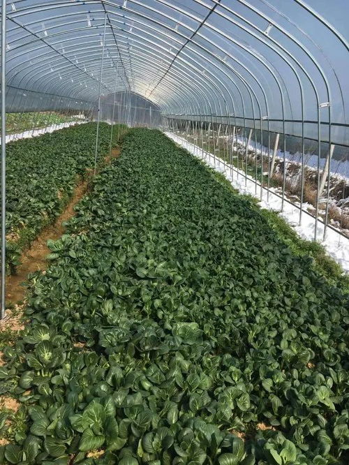 青春助农 共同战疫 ,期待你的加入