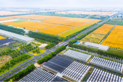 江苏海安:深耕农业园 在现代农业发展道路上阔步前进