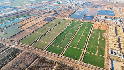 垦利经济开发区、兴隆街道:聚焦民生福祉 绘就幸福生活新图景