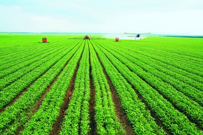 绥化释放优势潜力谱写振兴新篇章 绿色发展产业勃兴