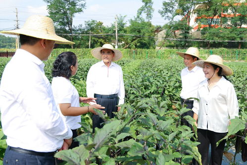 徐麟到省农业科学院调研 马汉成参加