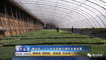 耿文祥 工厂化育苗 助力现代农业发展