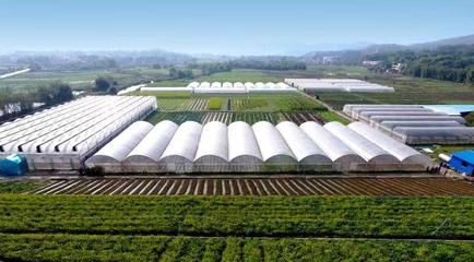 韶关曲江:奋进新时代 谱写新篇章