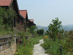 太原市采薇庄园特色农业开发图册