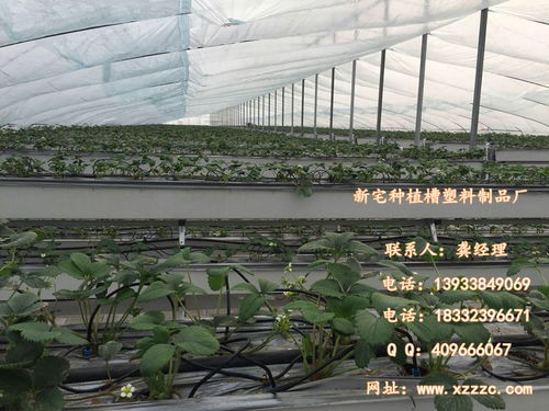 图片,海量精选高清图片库 河北新宅鸡槽塑料制品厂