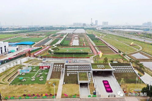 春节去哪 园 ▏看首个标志性农业ip,坐小火车,漫步520瓜果长廊