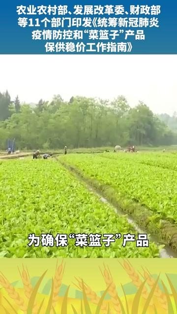 农业农村部 发展改革委 财政部等11个部门印发统筹新冠肺炎疫情防控和 菜篮子 产品保供稳价工作指南