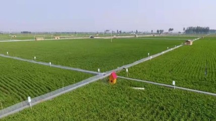 农村致富新思路,挖掘农村产业潜力,打造特色农业产业链