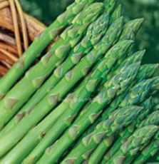 临安锦昌农业开发有限责任公司-