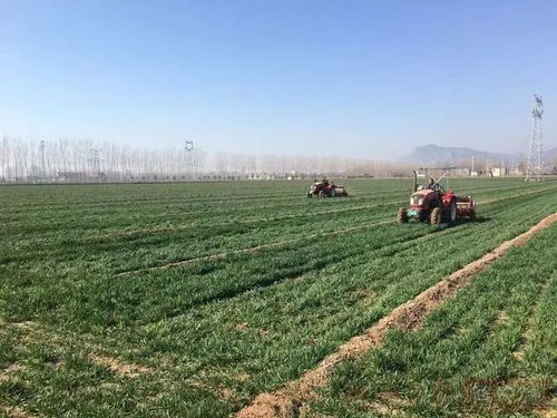 政策 支持新型肥料产品研发 院士 数字乡村建设发展不平衡