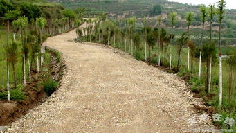 张家川县农业综合开发项目开发出了 金山银山