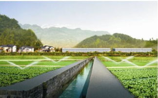 生态农业成发展趋势，武汉龟谷公司专业规划服务受青睐