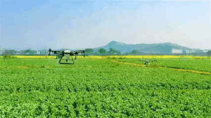 农业科学推动农业开发的创新与可持续发展