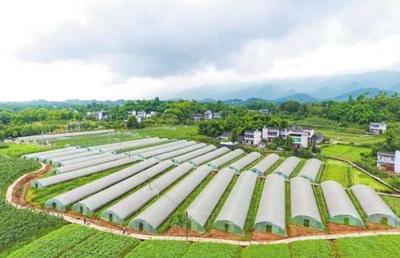 璧山 培育农业新业态，城乡融合书新卷