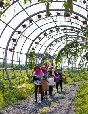 勇当乡村振兴“侦察兵”“先锋队”——浏阳市国家级田园综合体建设试点纪实