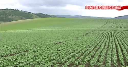 构筑特色农业新优势，以产业发展促乡村振兴