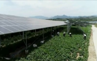 容益(海南)东方现代设施农业产业园建设取得新进展