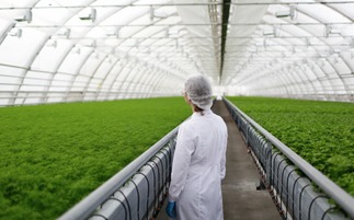 有机农业发展缓慢的深层原因与挑战