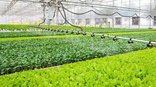 从会种地走向慧种地 税费优惠赋能农业现代化发展