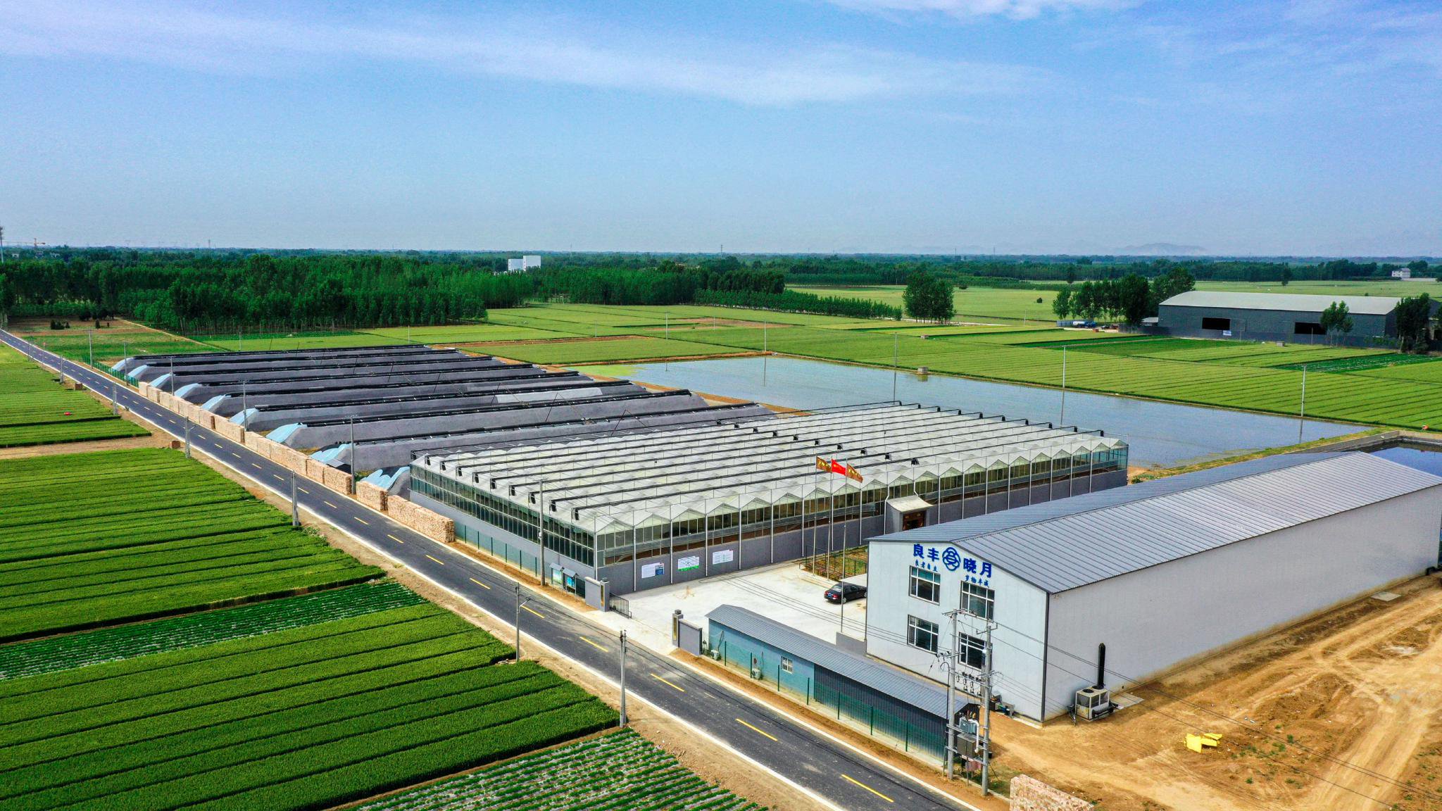 点‘绿’成金 跨界种养绘就农业开发新丰景