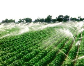 打破“靠天收” 精准农业引领现代农业发展新篇章