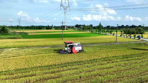 构建343现代农业发展新格局，加快推进乡村振兴高质量发展