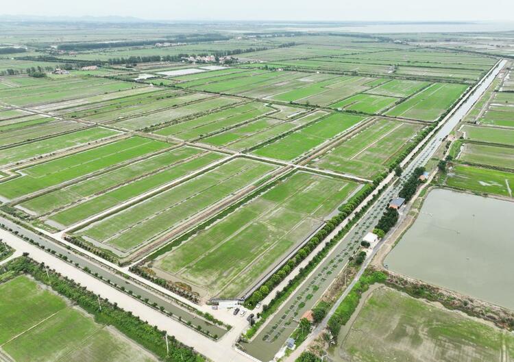野水荒滩&ldquo;古雷池&rdquo; 秀美安澜新高地