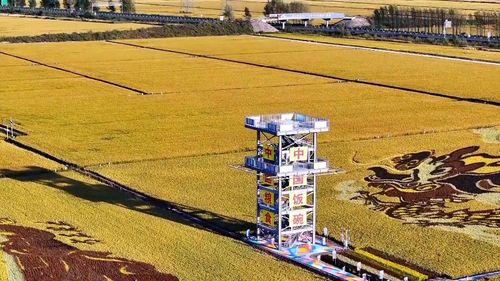数说新中国75年 农业发展阔步前行 现代农业谱写新篇