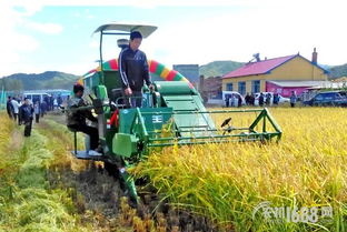 探索现代农业发展新路径