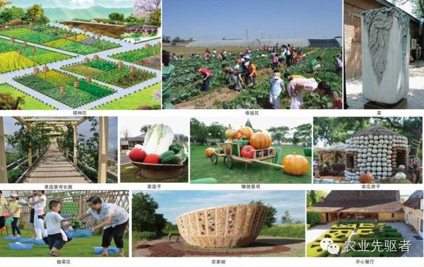 休闲农业要发展,轻资产运营很重要_财经_网