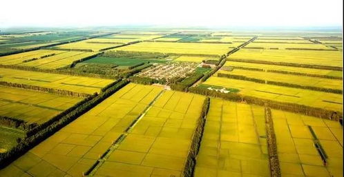 再见十月 回忆一下,十月我们都做了什么