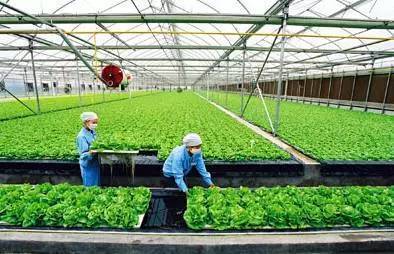 2017下半年这10个农业项目补贴不能再错过！