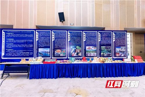 农博现场丨签约金额超45亿，湖南农业招商引资对接会助力中部农产品加工业发展