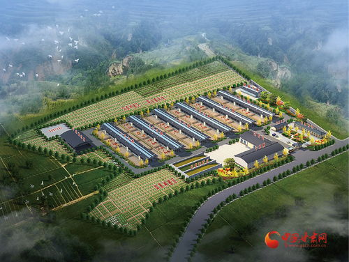 泾川加快培育新质生产力，激活农业产业发展新动能