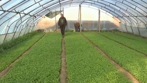 身份证可能被别人绑定微信支付？4步教你快速查询与解绑