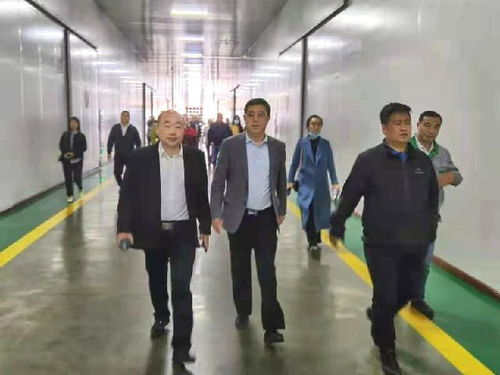 深化南北合作，共拓农业新篇——东莞市河南商会赴黑龙江商务考察纪实