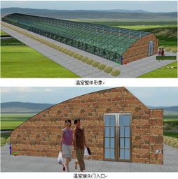 490平方米日光温室型雾培蔬菜与芽苗菜工厂化生产设计方案