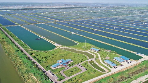 智慧农业浪潮下，农垦如何走在前列，引领农业开发新篇章