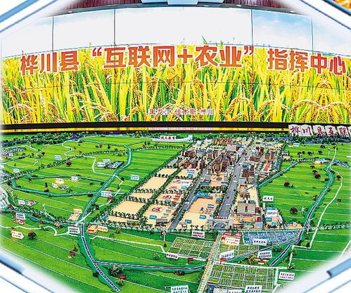 桦川以高标准链出农业发展新稻路 构建现代农业发展体系